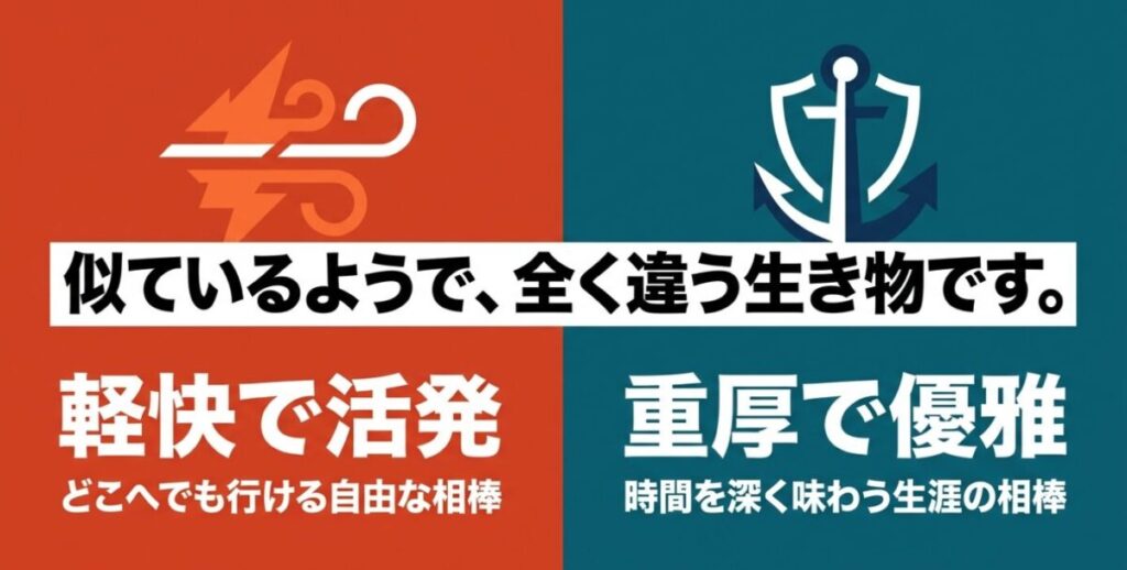 似ているようで全く違う生き物。軽快で活発なCL250と重厚で優雅なGB350の比較